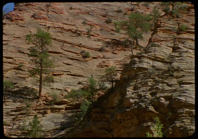 Vintage footage shows a detailed, static view of a layered red rock cliff face with trees growing from its ledges