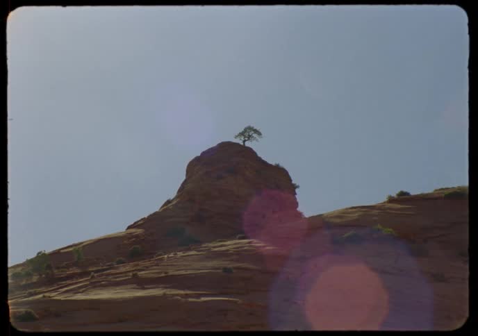 A lone tree stands defiantly atop a desert butte in this grainy vintage film shot