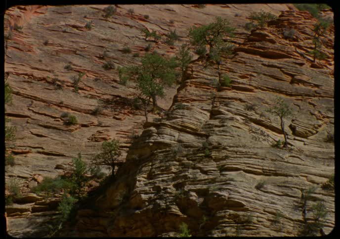 A static archival shot of a layered red rock cliff face with hardy green trees growing from the cracks