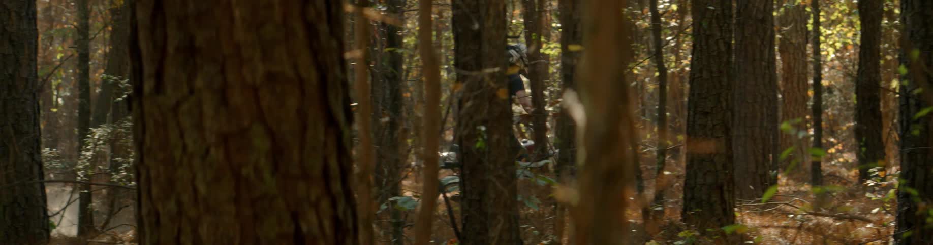 A man rides a motorcycle in a forest on a sunny day