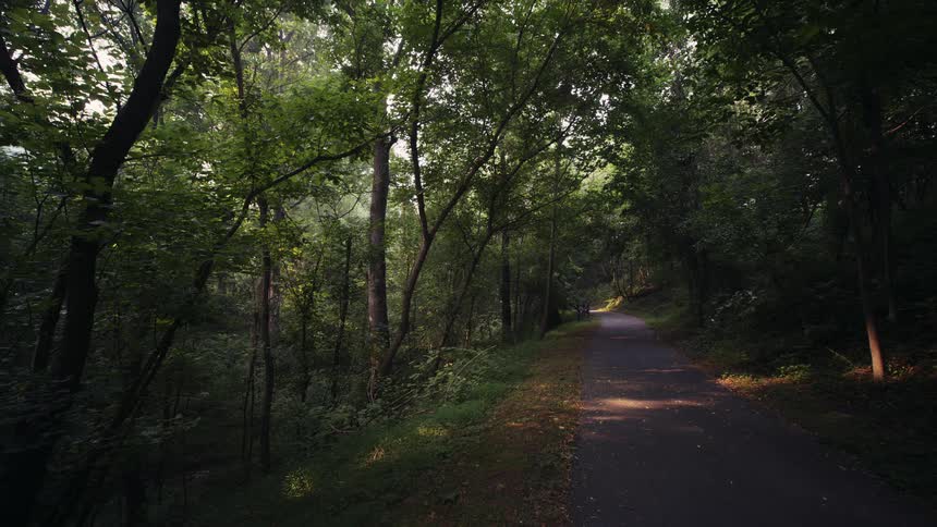 A serene paved walkway disappears into the lush, shaded woods with sunlight peeking through