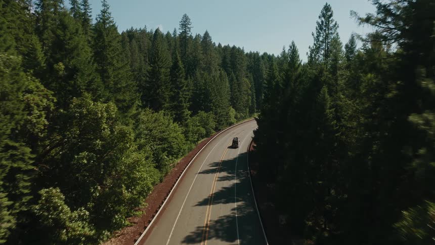 An aerial view follows a dark SUV as it drives down a scenic winding road through a dense, sunlit forest