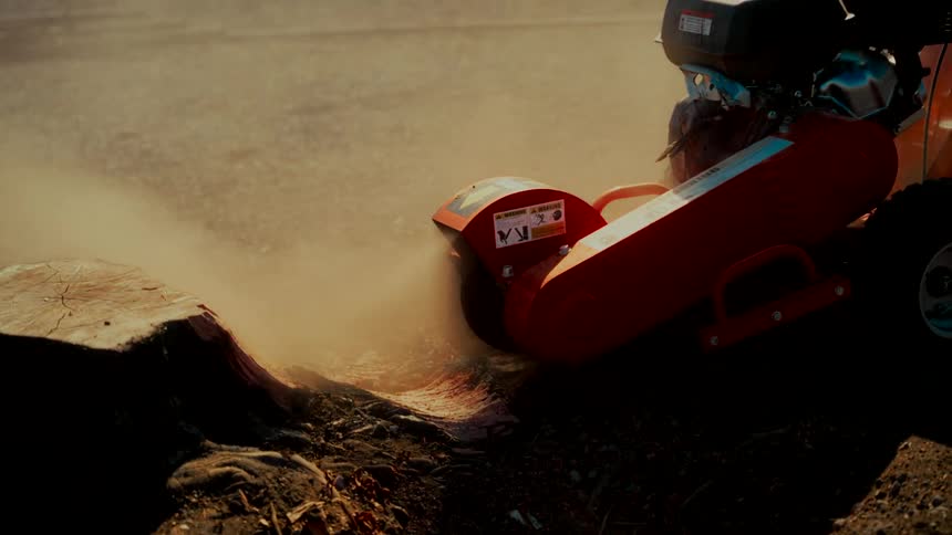 A powerful stump grinder chews through a tree trunk in slow motion, sending a thick cloud of sawdust into the air