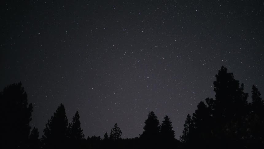 A beautiful time-lapse of the starry night sky with shooting stars moving above a silhouette of a pine tree forest
