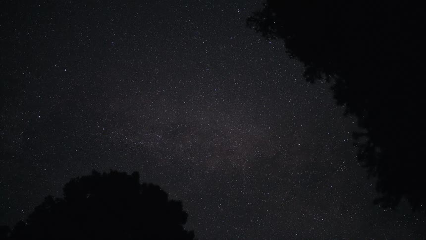A stunning timelapse of the Milky Way galaxy moving across the night sky, framed by silhouetted trees