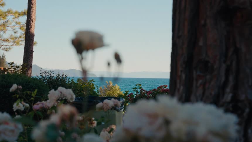 A serene view of a beautiful blue lake is revealed through an out-of-focus garden of white flowers