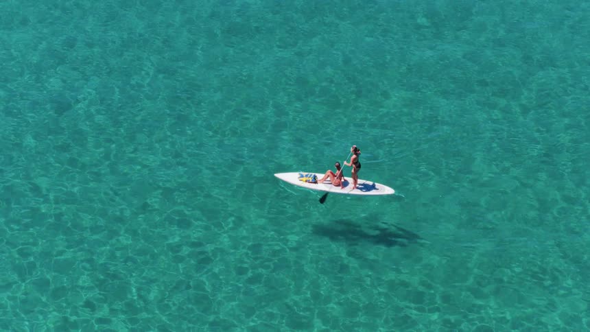 An aerial view shows two women on a stand-up paddleboard in crystal-clear turquoise water as a dolphin swims by