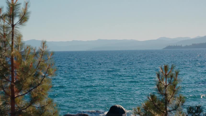 A beautiful scenic view of the vast, sparkling blue water of Lake Tahoe with mountains in the distance, framed by pine trees on a clear day