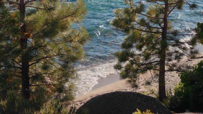 A serene, slow-motion view of crystal clear waves washing ashore on a sandy beach, seen through pine trees on a sunny day