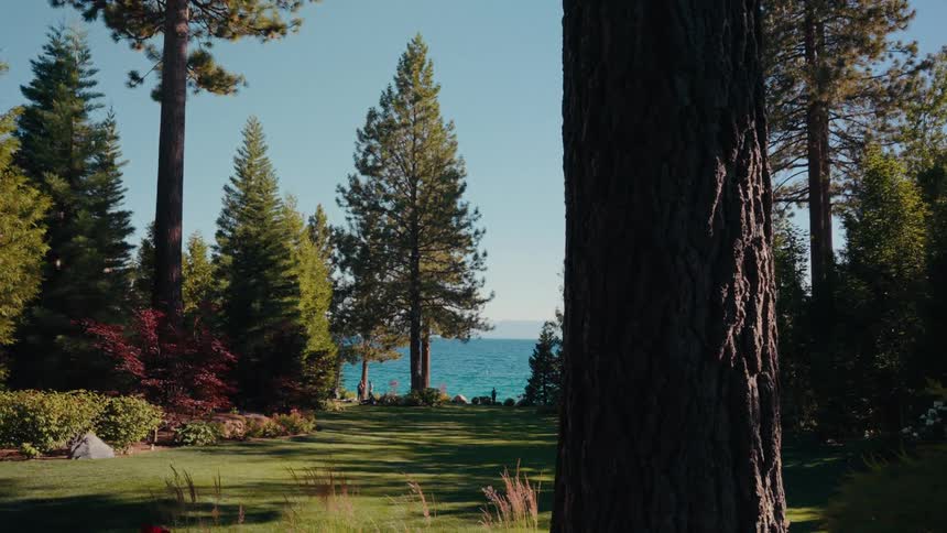 A beautiful lakeside view from a manicured lawn surrounded by tall pine trees on a sunny day