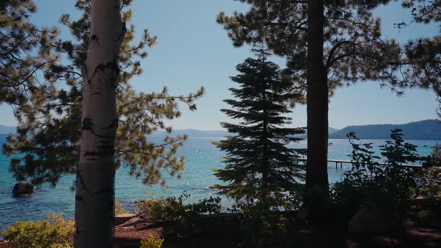 A scenic view of a sparkling turquoise lake on a sunny day, framed by pine and birch trees in the foreground