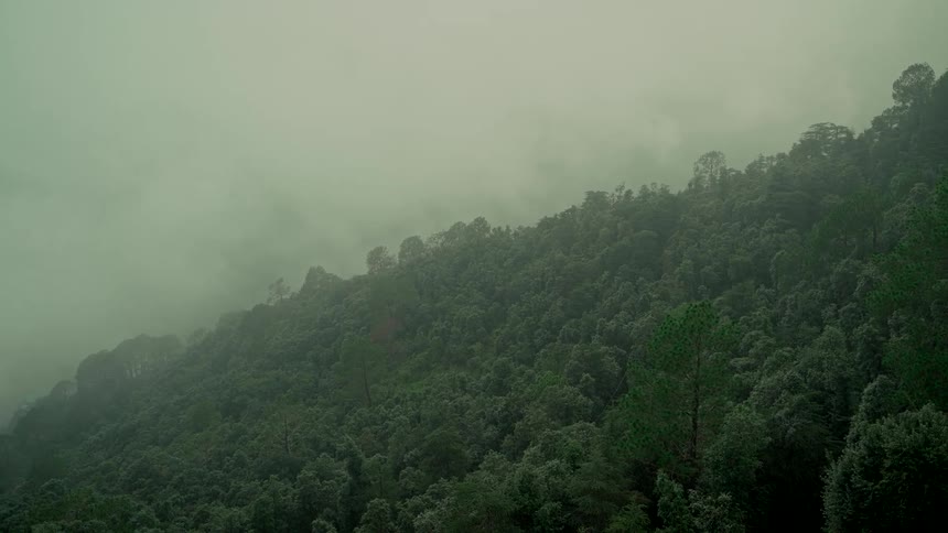 A lush green mountainside is enveloped in a thick blanket of mysterious fog