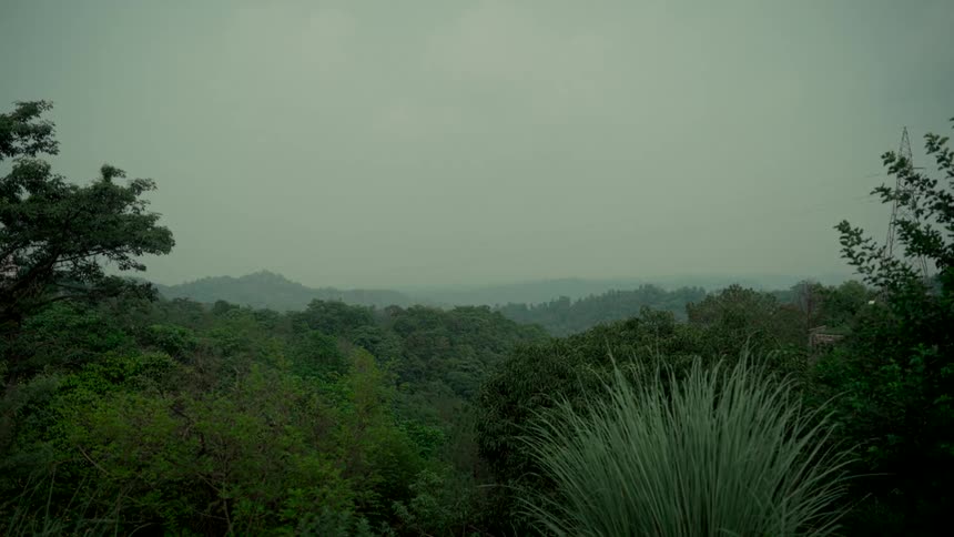 A serene view of a lush green forest landscape with rolling hills fading into the haze under an overcast sky
