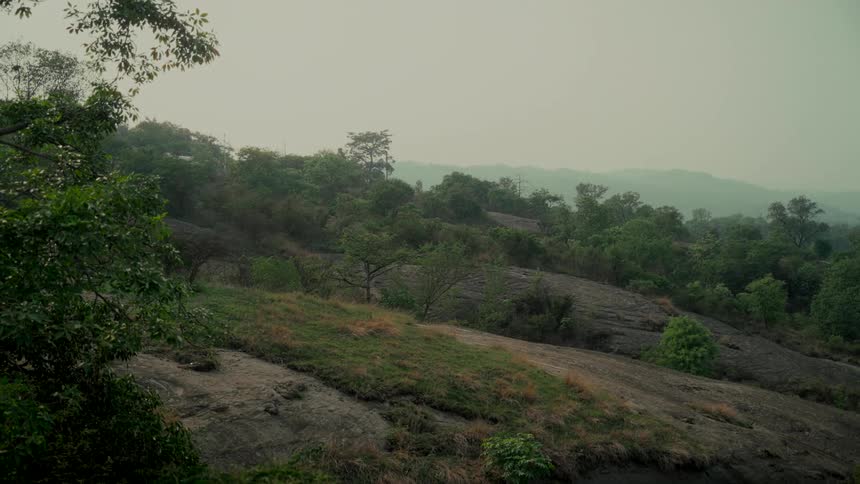 A tranquil view of a rocky hillside covered in lush green forest on a hazy, overcast day