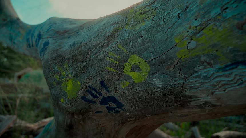 A close-up view of colorful yellow and blue handprints painted on a weathered tree trunk outdoors