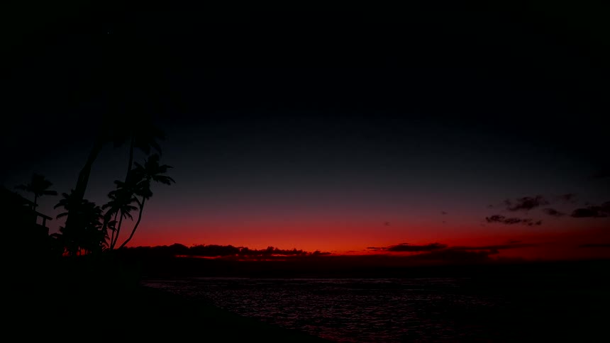 Silhouetted palm trees stand on a beach as a fiery red sunset fades over the gentle ocean waves at dusk