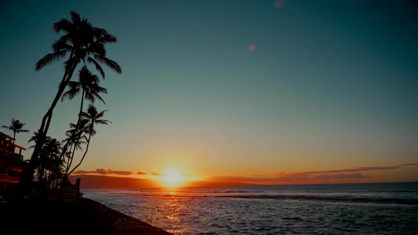 Silhouetted palm trees frame a tranquil sunset over the calm ocean waters of a tropical island