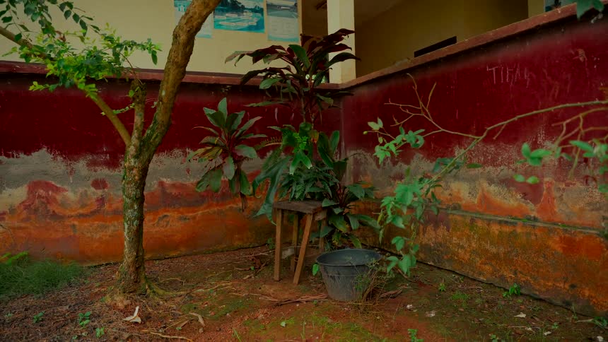 A quiet corner of a yard features plants and a stool against a weathered, colorful wall