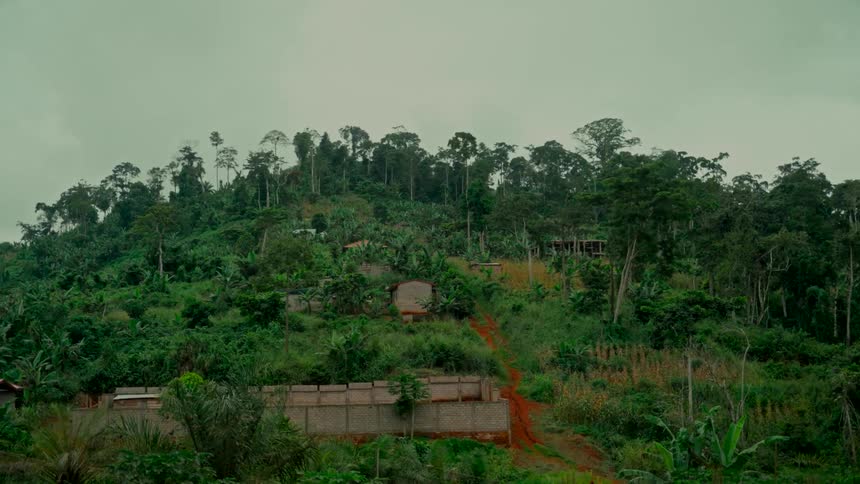 A wide shot of a rural village nestled in the lush green hills of a tropical rainforest on a cloudy day
