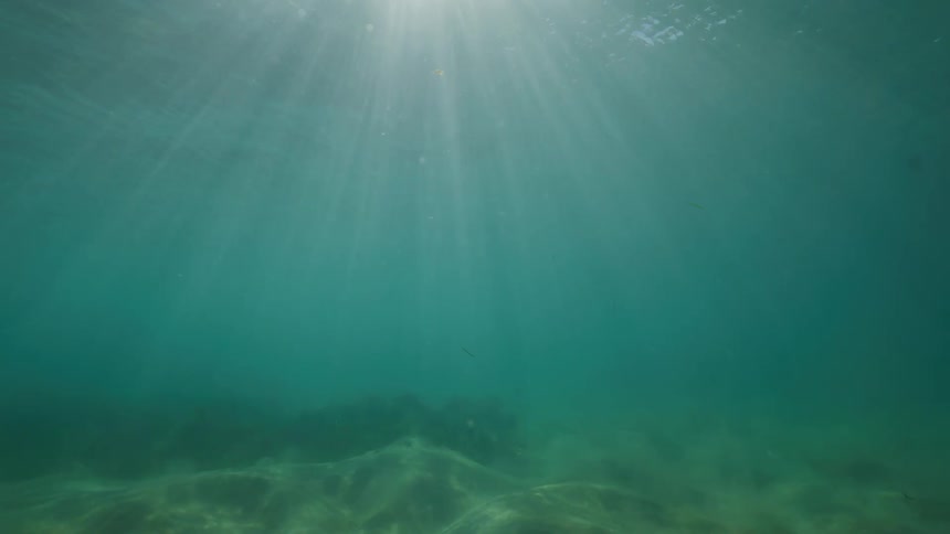 A peaceful underwater scene shows beautiful light rays shining through the clear sea onto the sandy bottom