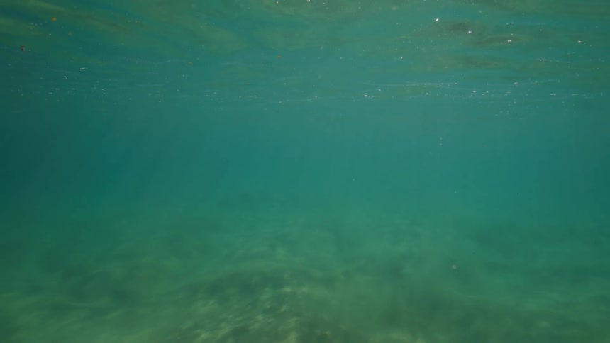 Sunlight streams through calm, turquoise water, illuminating the sandy ocean floor in a tranquil underwater scene