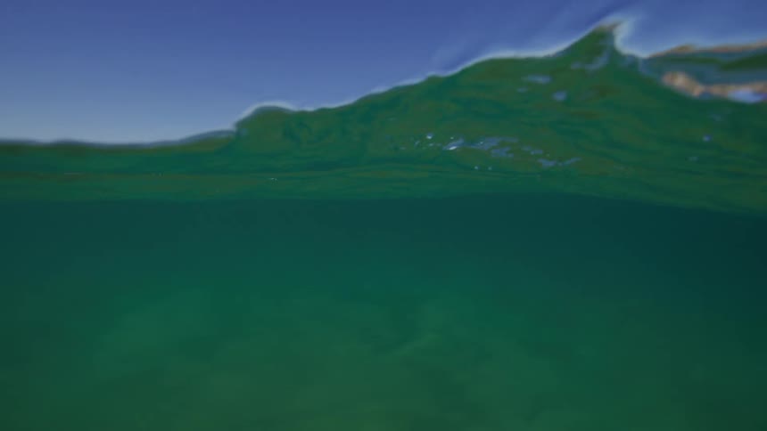 A peaceful split-view of the ocean, showing the tranquil green water below and the clear blue sky above