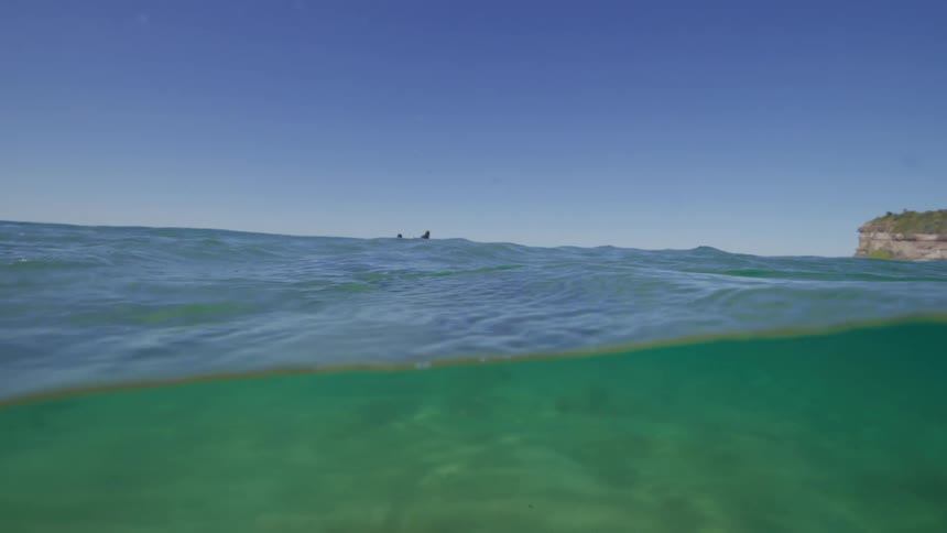 Slow-motion split-level view of a tranquil turquoise ocean with surfers waiting for waves under a clear blue sky