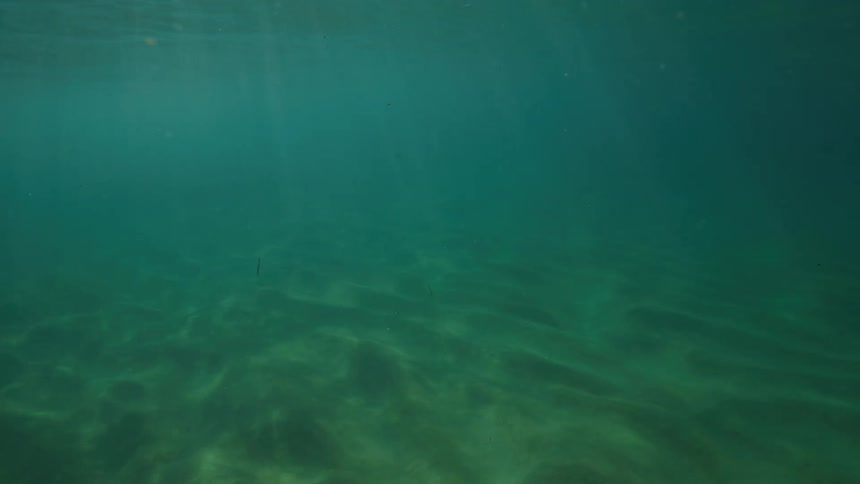 An underwater scene of sunlight creating mesmerizing caustic patterns on a sandy seabed