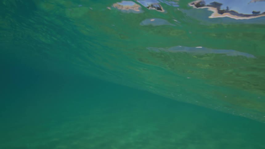 A serene underwater perspective captures a gentle ocean wave building and cresting in slow motion