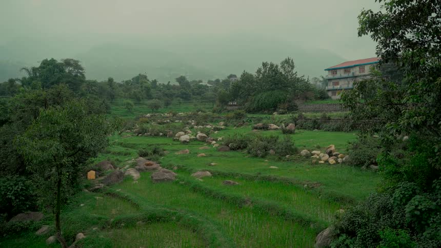 A serene view of a lush green valley with rice paddies and a building nestled in the misty mountains