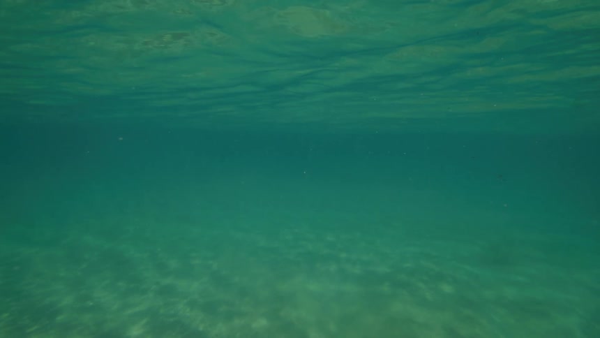 A tranquil underwater scene reveals a sandy seabed illuminated by gentle sunlight filtering through the calm ocean surface