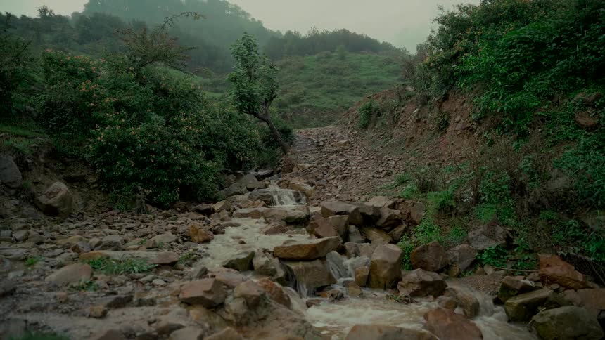 A tranquil stream cascades over rocks in a lush, misty mountain landscape