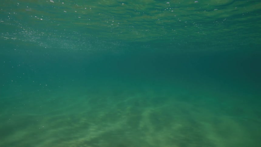 A serene underwater shot captures sunlight filtering through the water's surface and creating beautiful patterns on the sandy seabed