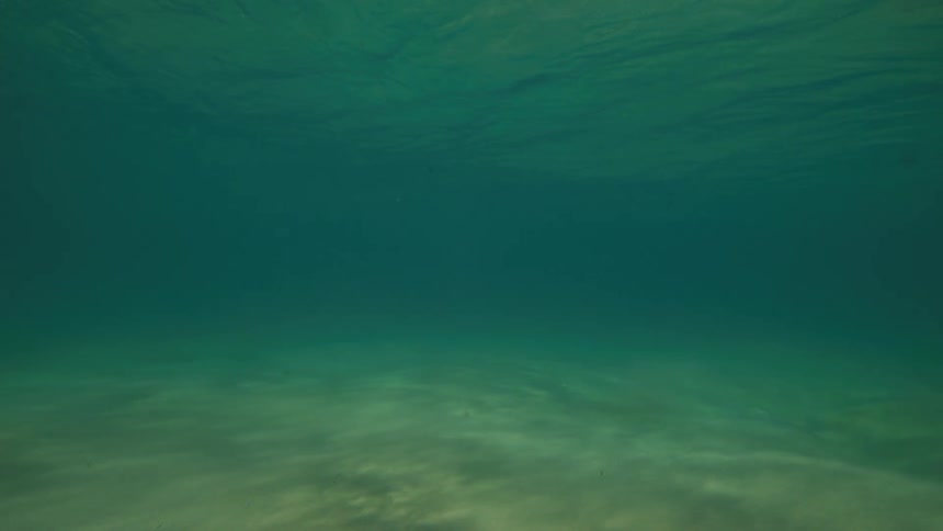 A serene underwater perspective tilting up from a sandy seabed to the calm, sunlit surface of the turquoise ocean