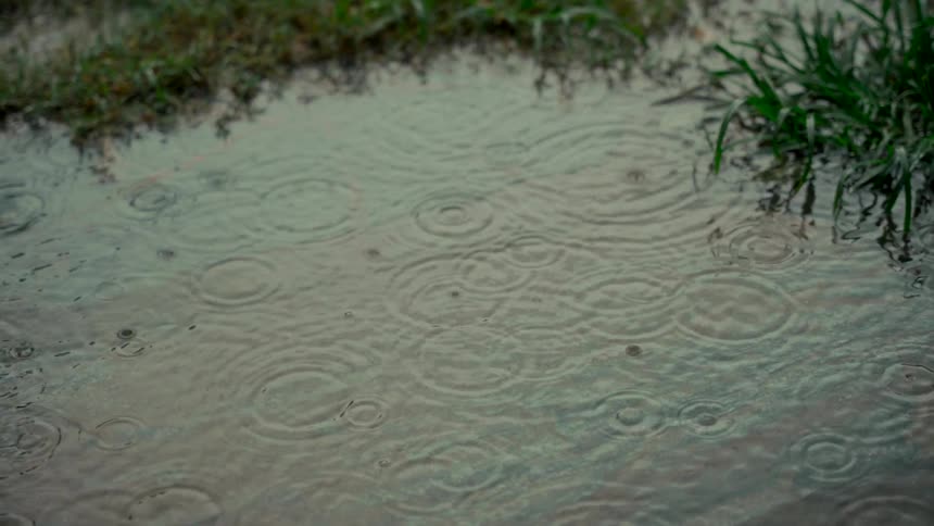 Raindrops fall in slow motion into a puddle, creating mesmerizing ripples on the water's surface