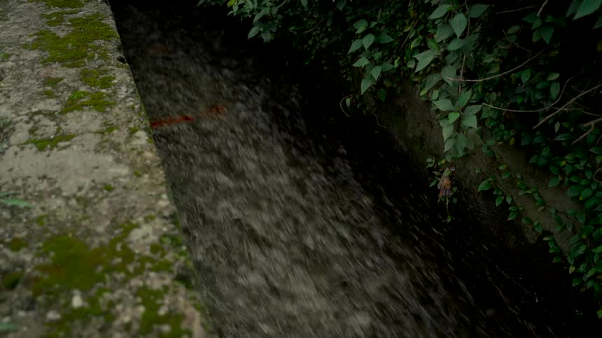 Water rushes through a narrow concrete irrigation ditch bordered by moss and green vines