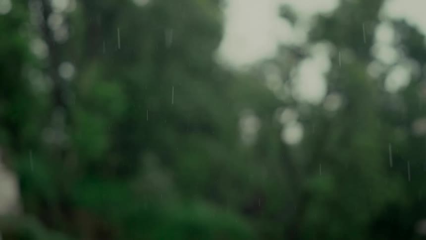 Close up of rain falling in slow motion with a lush, out-of-focus green background