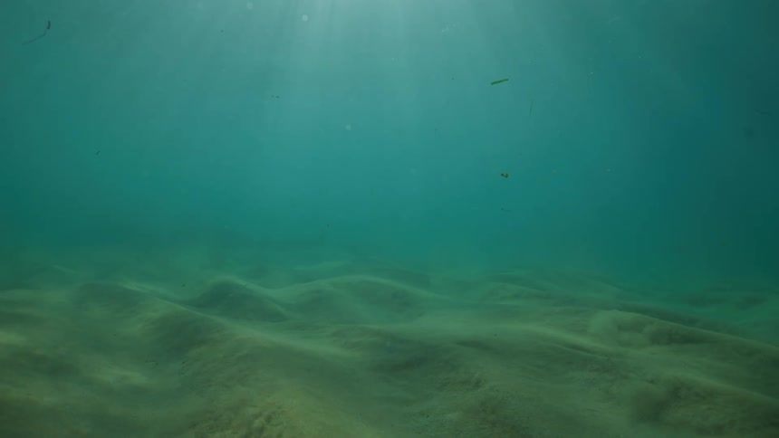 Sunbeams filter through tranquil turquoise water, illuminating a rippled sandy seabed