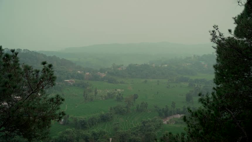 A hazy view over a lush green agricultural valley framed by evergreen trees on a gloomy, overcast day