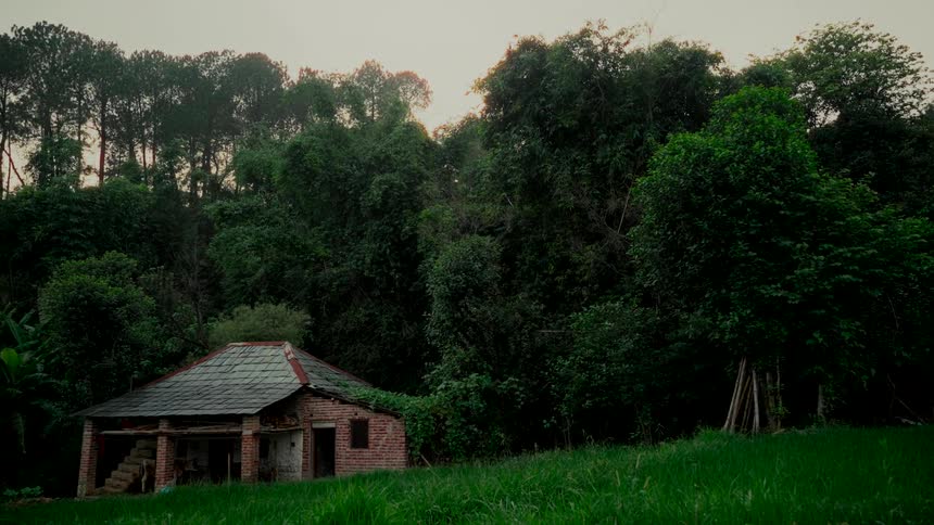 An old abandoned brick house sits in a lush green field at the edge of a dense forest at dusk