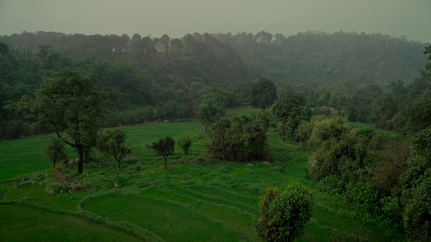 A static wide shot of a lush green valley with rolling hills and a dense forest on an overcast day