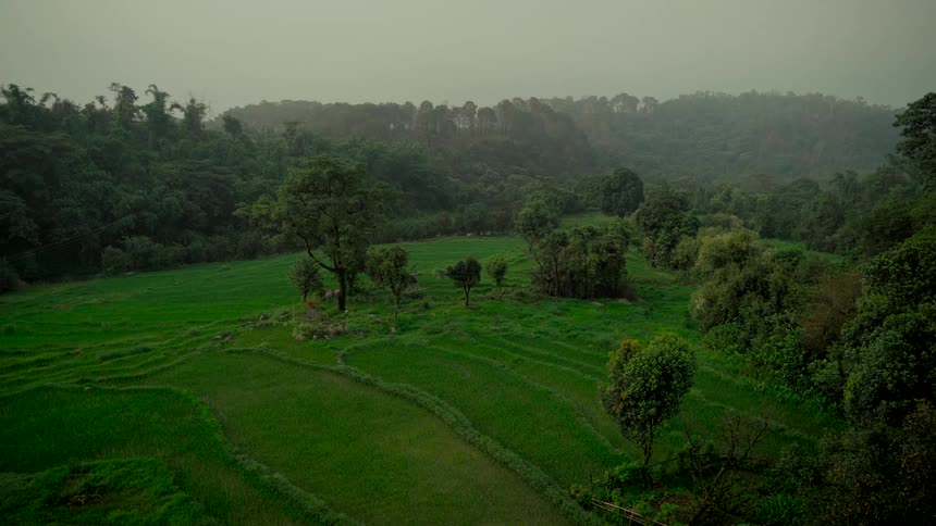 A static wide shot of a lush green valley with terraced rice fields surrounded by dense forests on a moody, rainy day