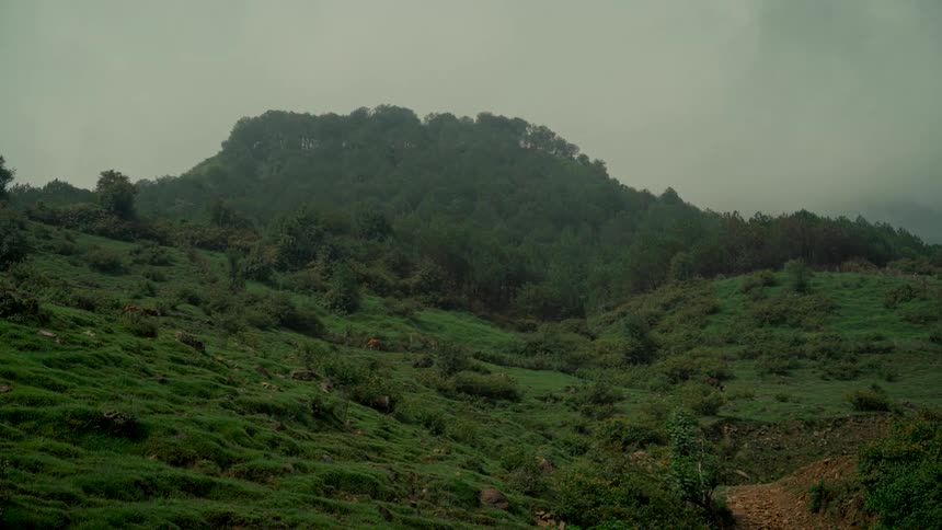 Lush green rolling hills and a dense forest-covered mountain under an overcast sky