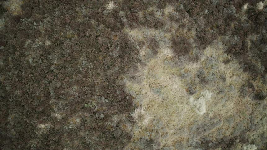 An abstract top-down aerial view slowly ascends over a textured moorland landscape