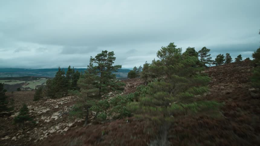 A drone ascends a tree-dotted hill, revealing an expansive view of the Scottish Highlands on a cloudy day