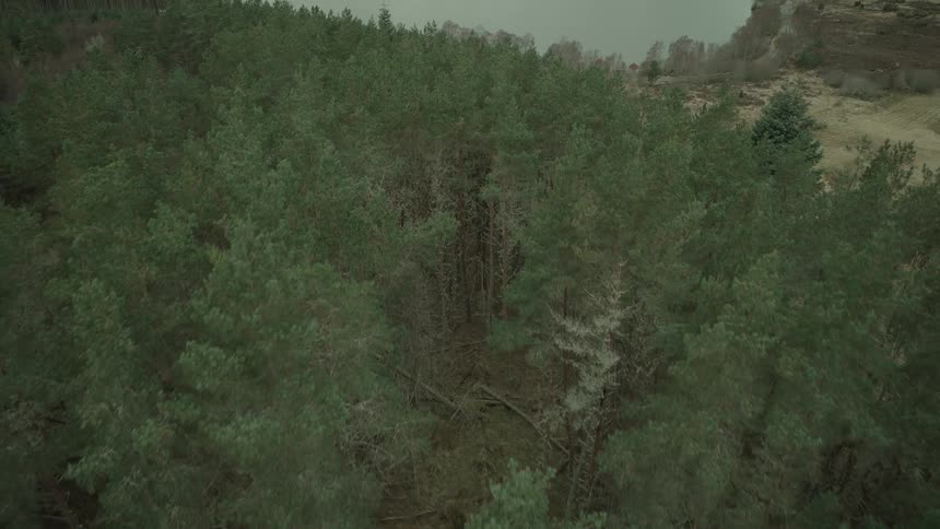 An aerial view pulls back from a lakeside clearing to reveal a dense evergreen forest on a cloudy day