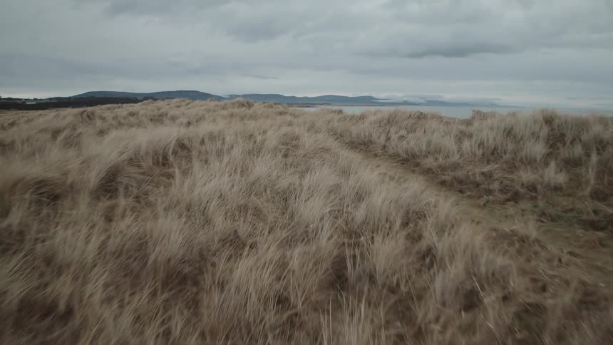 Aerial shot slowly rises over windswept marram grass on sand dunes to reveal a deserted sandy beach on an overcast day