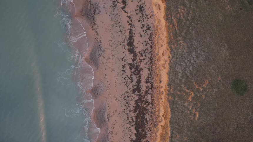 A peaceful top-down aerial view of calm ocean waves lapping against a sandy beach and grassy dunes during golden hour