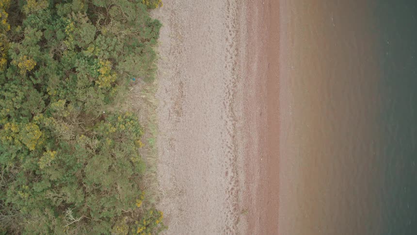A serene top-down aerial shot slowly follows the line where a lush green forest meets a sandy beach and calm water