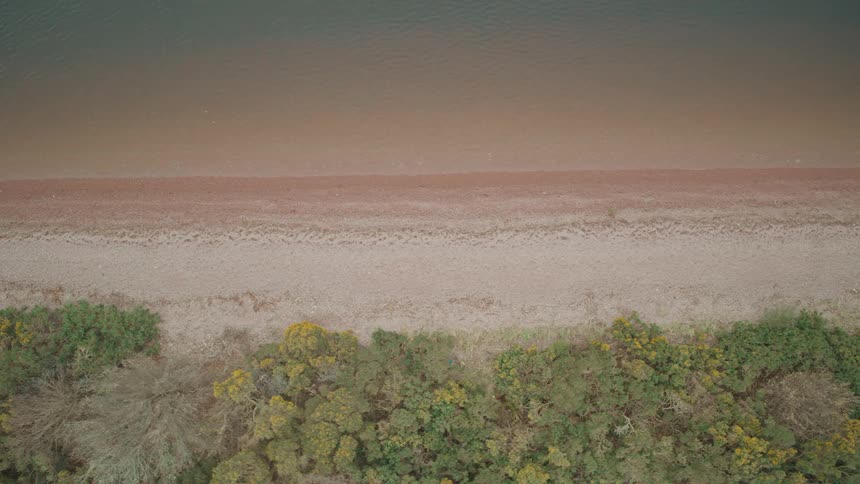 A serene top-down aerial view slowly pans along a tranquil shoreline where calm water meets a sandy beach and lush coastal forest